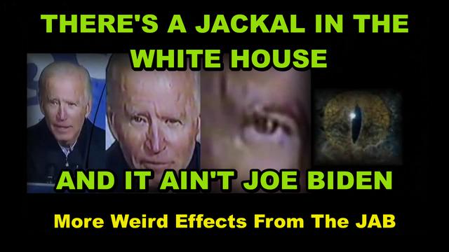 THE VACCINE AND ITS DEADLY EFFECTS ON YOU - THERE"S A JACKAL IN THE WHITE HOUSE AND IT"S DEMONIC 4-7-2021