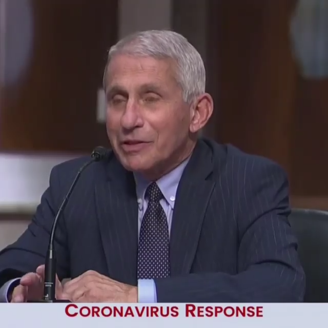 Rand Paul just ROASTED Dr. Fauci to his face for the entire world 9-7-2020