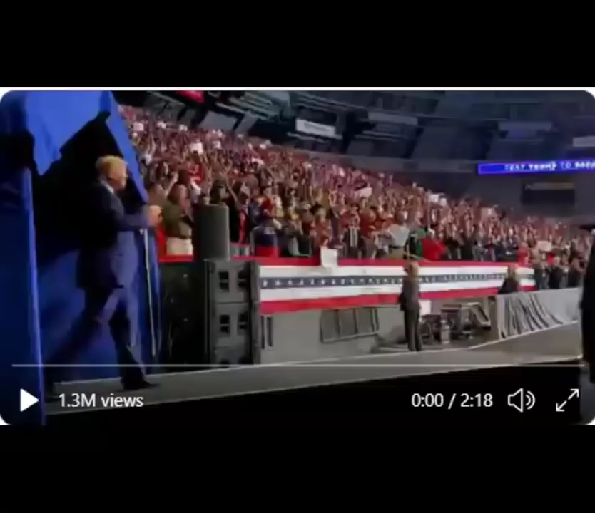 Rallying for Trump Video #1 (Re-Do) - Compilation of videos from Patriots worldwide 17-4-2020