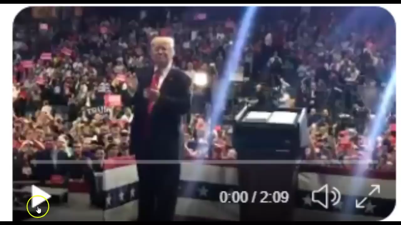 Rallying for Trump Video #2 - Compilation of Videos / Pics from Patriots Worldwide! 4-5-2020