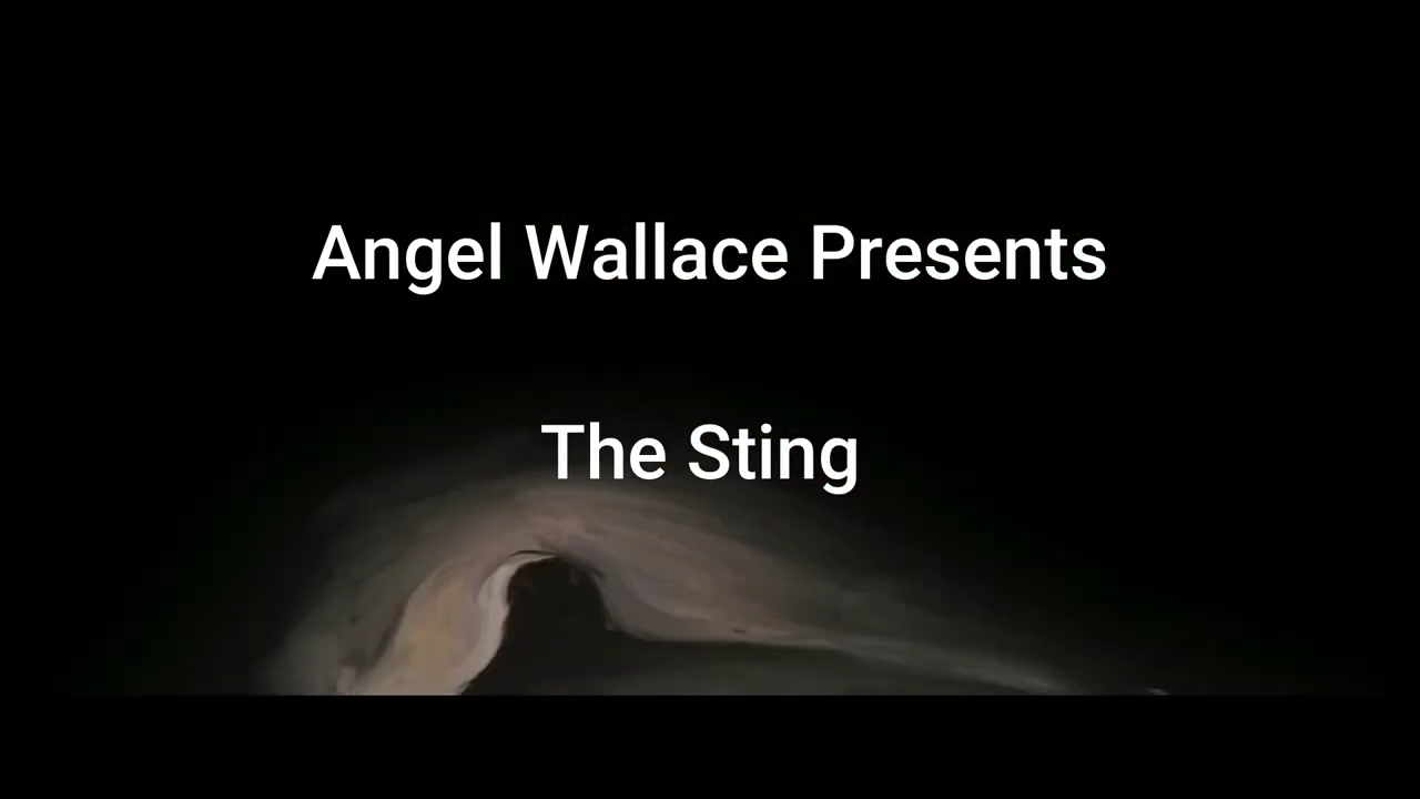 The Sting 20-8-2020