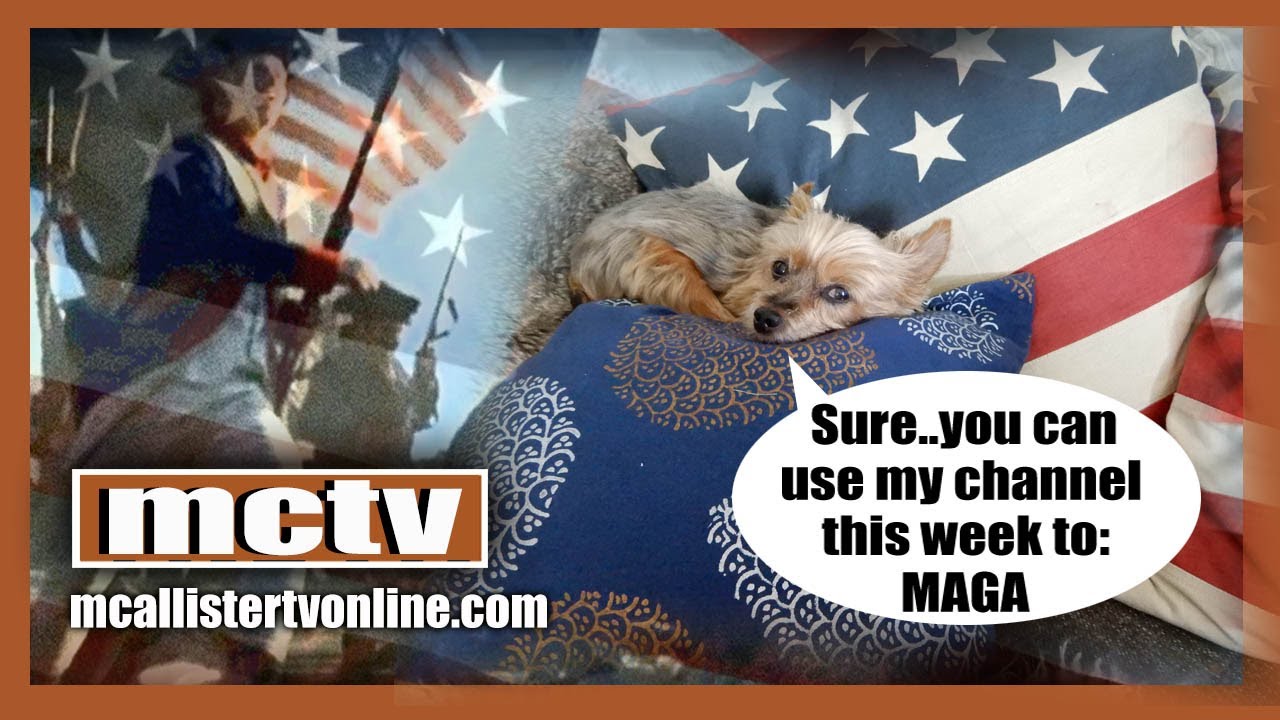 Truman The Dog SPEAKS!!! MCTV UPDATE for AMERICA! 29-9-2020