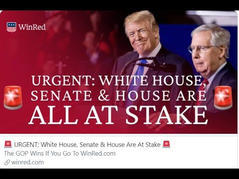 11/18/2020 - Desperate Dems! Atty's Wood/Powell say Trump won by 70% landslide 18-11-2020