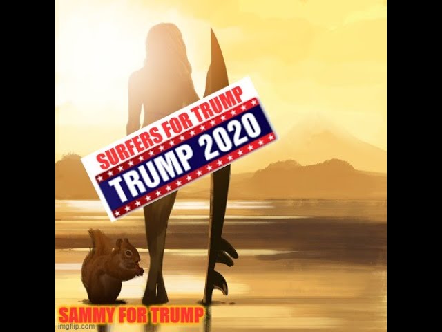 11/3/2020 Election Day Video 2 - Do not worry - Trump's got this! 4-11-2020