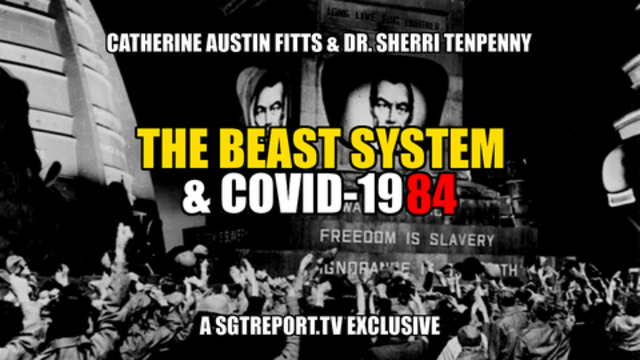 THE BEAST SYSTEM & COVID-1984: Catherine Austin Fitts & Dr. Sherri Tenpenny 28-11-2020