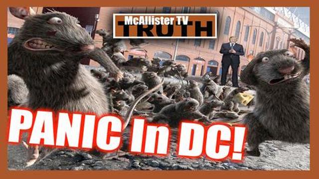 Election Fraud HEADLINES! Moar Q Mega Memes! COVID Death Camps! 17-12-2020