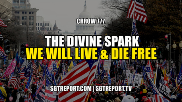 THE DIVINE SPARK: We Will LIVE FREE & Die FREE 25-12-2020