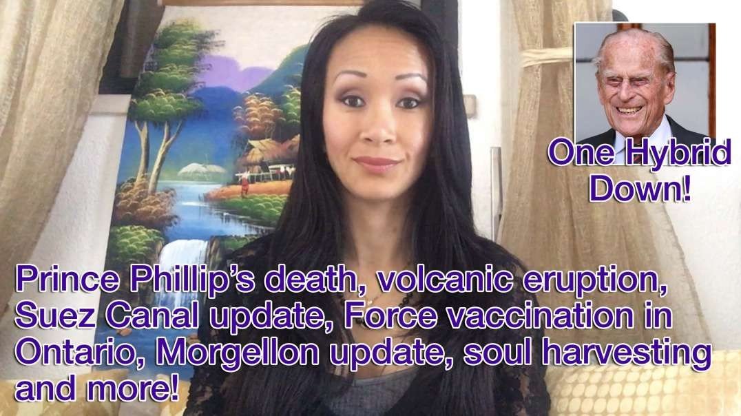 Prince Phillip’s death, volcanic eruption, Suez Canal update, Force vaccination in Ontario, Morgellon update, soul harvesting and more! 11-4-2021