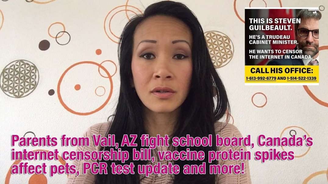 Vail parents fight school board, Canada’s internet censorship bill, vaccine shredding affects pets, PCR test update and more! 2-5-2021