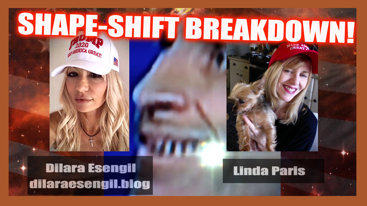 DILARA ESENGIL P2! SHAPE SHIFTING BREAKDOWNS! THEY HAVE SNOUTS! 25-7-2021