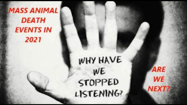 Why did we stop listening? Animals are telling us something. Are we next in line for mass death? 23-7-2021