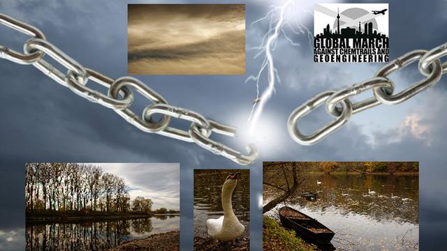 AUTUMN IMPRESSIONS - 8 SWANS - AND HAARP : FOR ALL PATRIOTS IN THE WORLD! 8-12-2020