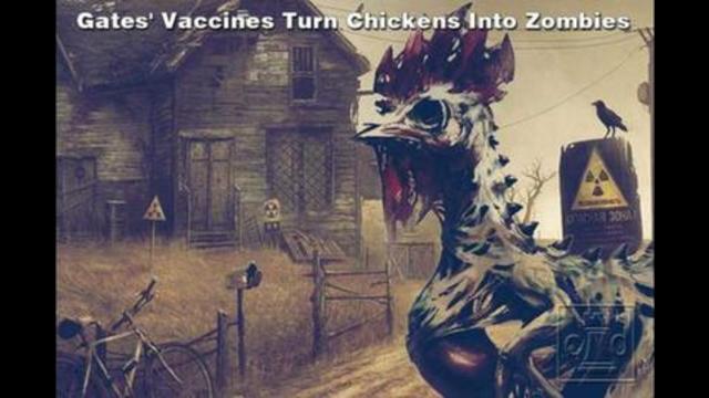 Bill Gates' Vaccines Turned Chickens Into Zombies - Booster shots killed them all 28-8-2021