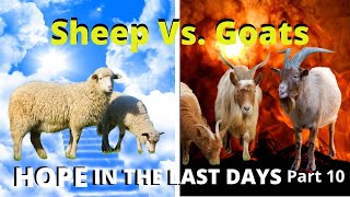 The Separation of the Sheep and Goats | Hope in the Last Days Part 9 6-5-2020