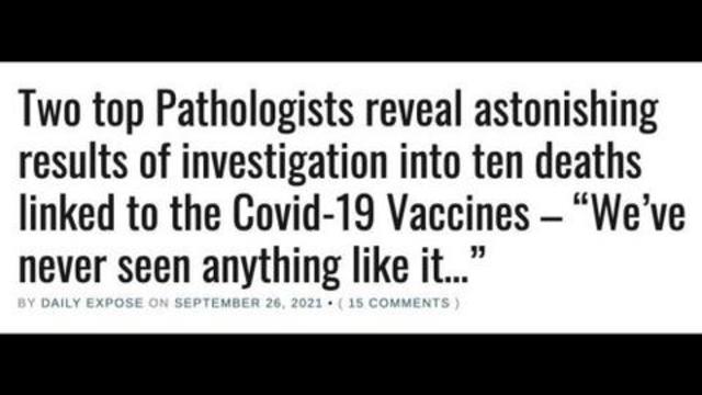 2 top Pathologists reveal astonishing results of investigation into 10 deaths linked to Covid 29-9-2021