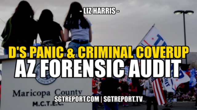 D'S PANIC & CRIMINAL COVERUP: AZ FORENSIC AUDIT -- Liz Harris 22-9-2021