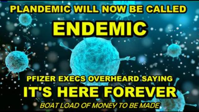 GET READY FOR THE ENDEMIC? PFIZER EXECS CAUGHT SAYING 'THIS WILL NEVER END'. IT'S ALL ABOUT PROFIT 18-9-2021