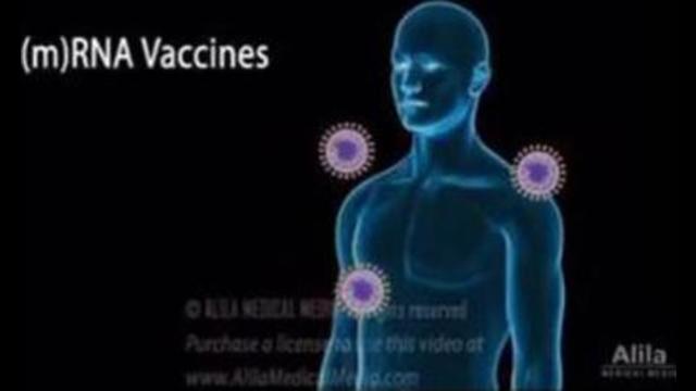 MUST WATCH VIDEO explaining the effects of the Covid ‘vaccines’ in your body! [mirrored] 16-9-2021