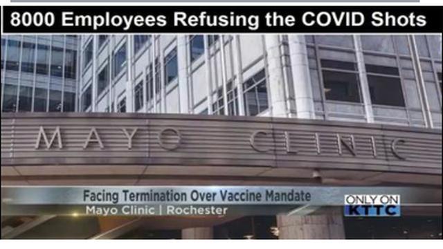 BREAKING !! 8000 MAYO CLINIC EMPLOYEES TO BE FIRED FOR REFUSING COVID-19 VACCINES !! GET SHARING !! 27-10-2021