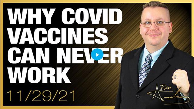 Dr. Bhakdi Explains Why COVID Vaccines Can NEVER Work 30-11-2021