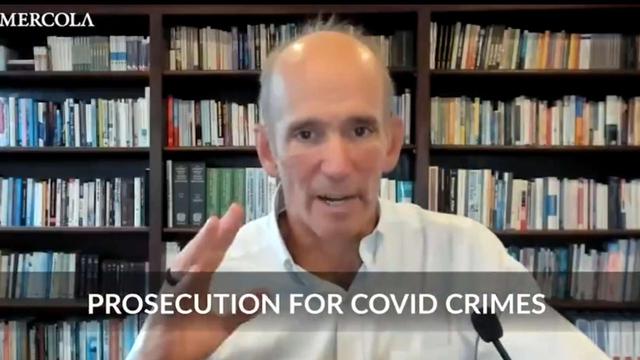 Francis Boyle - Roadmap for Prosecuting COVID Crimes 29-11-2021