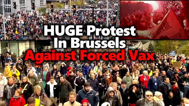 HUGE Protest In Brussels Belgium Against VaxPass Tyranny & Segregation. NO COERCION! 21-11-2021