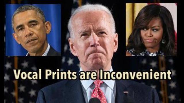 Vocal Prints: Biden Body Double, Xi Jinping Goals, Obama, Trump, & more w/ Sharry Edwards (2of2) 1-11-2021