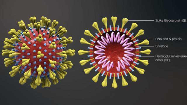 CORONAVIRUS has NOT been ISOLATED VACCINE injects DEADLY mRNA SPIKE PROTEINS into BODY 29-12-2021