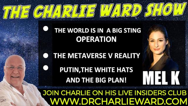 THE WORLD IS IN A BIG STING OPERATION, THE METAVERSE V REALITY WITH MEL K & CHARLIE WARD 24-1-2022