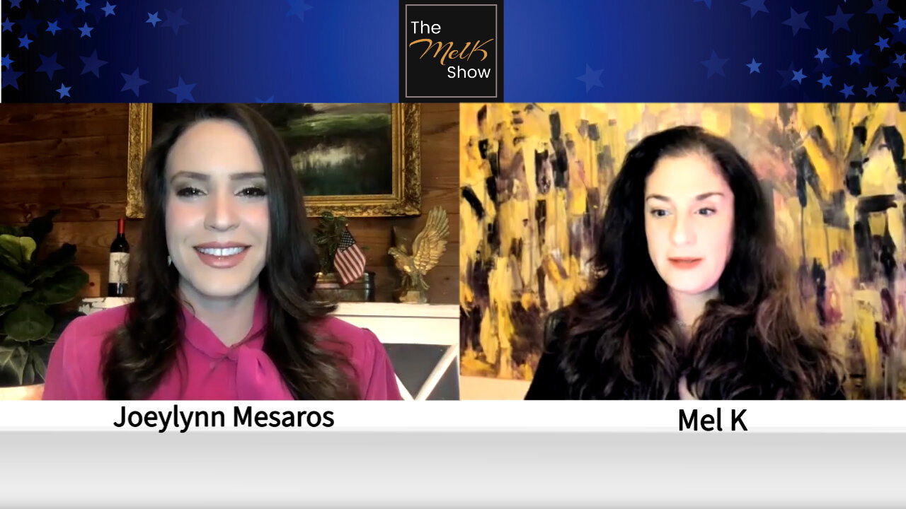 Mel K & Freedom Fighter Joeylynn Mesaros On Lawfare & Persecution For Wrong Think 30-3-2022