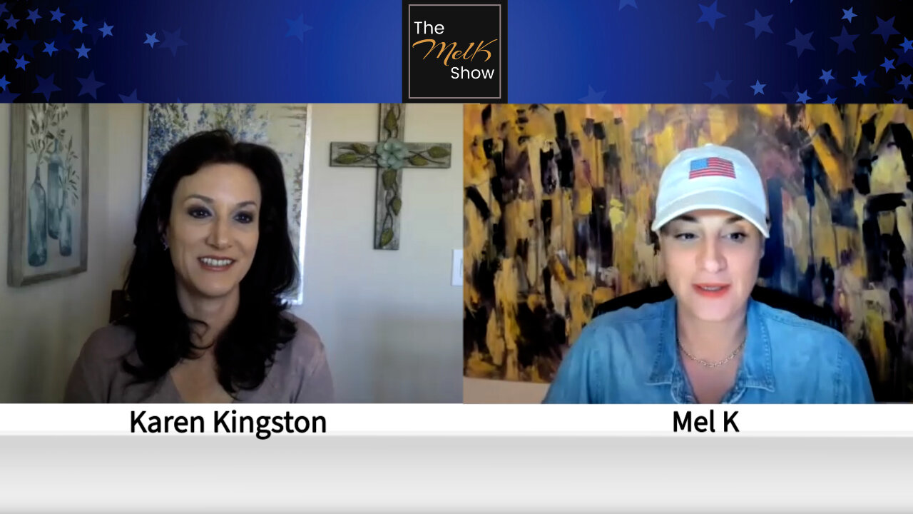 Mel & Pharma Analyst Whistleblower Karen Kingston On Shocking Medical Industrial Complex 12-3-2022