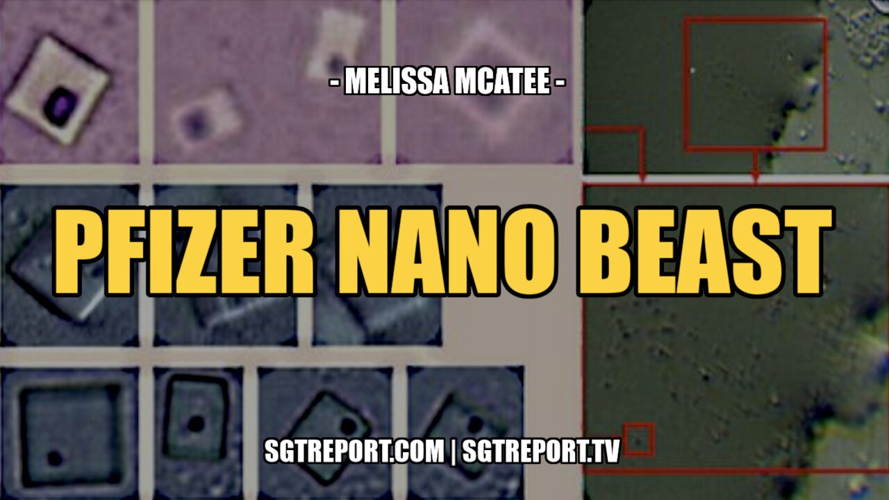 PFIZER NANO BEAST -- WHISTLE BLOWER MELISSA MCATEE 11-3-2022