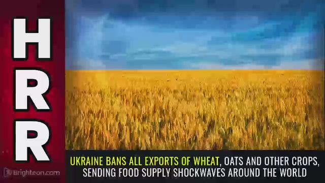 Ukraine BANS ALL EXPORTS of wheat, oats and other crops, sending food supply SHOCKWAVES around the.. 11-3-2022