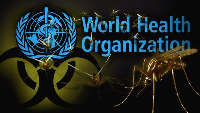 World Health Organization Says MOSQUITOES Will Cause Next Pandemic! (+ Link to Gates & Biolabs??) 30-4-2022