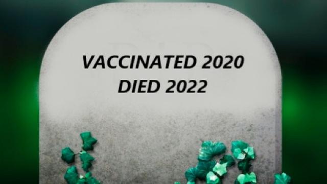 40% Excess Deaths in Late 2021? Now the deaths have shifted to the millennials. Age 25-44 are dying.17-5-2022