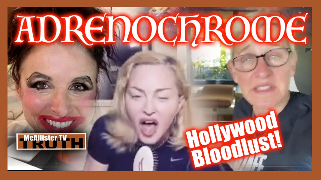 JIM CARREY BIDEN!? HOLLYWOOD BLOODLUST RECAP! HOW DUMB ARE THEY? CHANNEL UPDATES! 22-5-2022