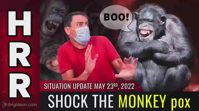 Situation Update, May 23, 2022 - SHOCK THE MONKEY pox 23-5-2022