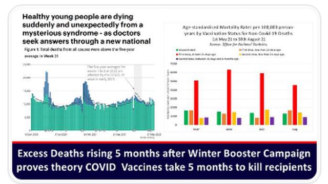 COV-ID INJECTS HAVE '5 MONTH KILL WINDOW' ? ( EXCESS DEATHS RISING 5 MONTHS AFTER WINTER BOOSTERS ) 12-6-2022