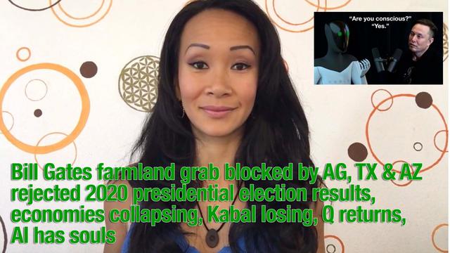 Gates farmland grab blocked by AG, TX and AZ rejected 2020 election results, Q returns, AI has souls 26-6-2022