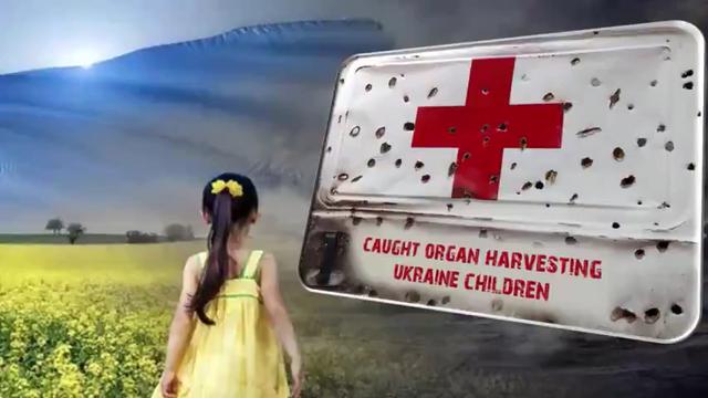 It looks like the Red Cross has been involved in organ harvesting from children in the Ukraine 22-6-2022