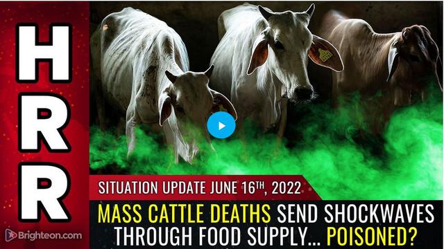 Situation Update, June 16, 2022 - Mass CATTLE deaths send shockwaves through food supply... POISONED 16-6-2022