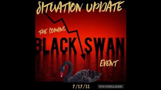 Situation Update: The Coming Black Swan Event Imminent! Banking Collapse Could Trigger Black Swan 28-7-2022