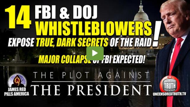 Alert! 14 FBI & DOJ Whistleblowers Expose Deep State Coup Attempt! Major Collapse of the FBI 19-8-2022