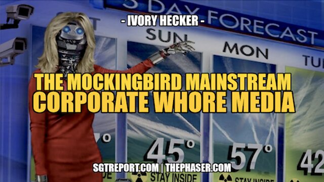 EXPOSING THE MOCKINGBIRD MAINSTREAM CORPORATE WHORE MEDIA -- IVORY HECKER 31-7-2022