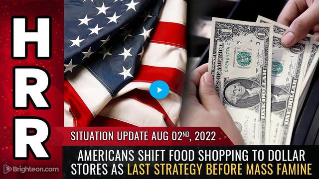 Situation Update, Aug 2, 2022 - Americans shift food shopping to DOLLAR STORES as last strategy 2-8-2022