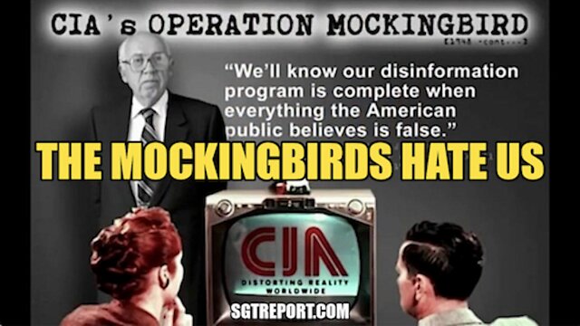 THE MOCKINGBIRD MERCENARIES HATE US -- KERRI RIVERA 2-8-2022