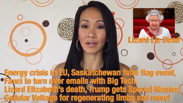 Energy crisis in EU, Saskatchewan false flag event, Fauci to turn over emails with Big Tech, Lizard 11-9-2022