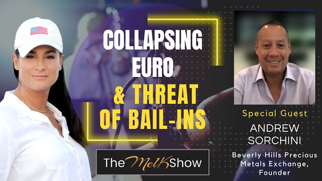 Mel K & Andrew Sorchini Economic Update - Collapsing Euro & Threat of Bail-Ins 8-10-22