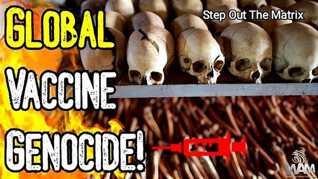 GLOBAL GENOCIDE! 700 Million To Die - Vaccine Deaths SKYROCKET As People Begin Waking Up! 28-11-2022