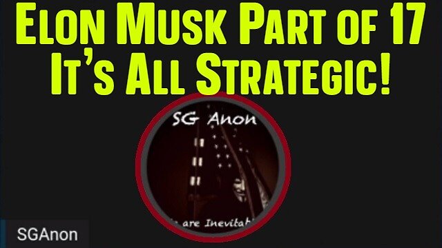 Sganon Latest Intel: Elon Musk Part Of 17 - It'S All Strategic!!!* 20-12-2022